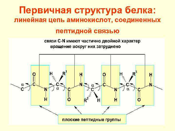 Схема образования биполярного иона