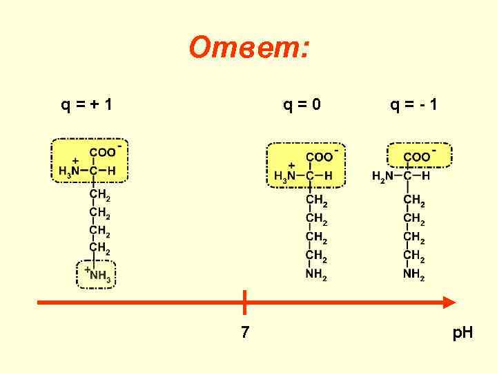 Ответ: q=+1 q=0 7 q=-1 р. Н 