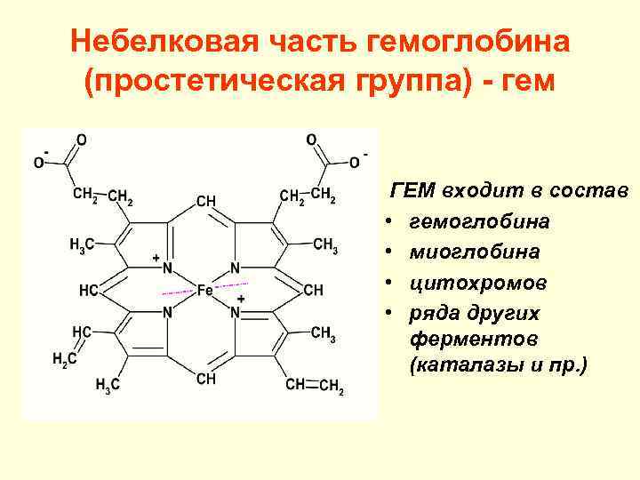 В состав гемоглобина входит. Формула простетической группы гемоглобина. Гем простетическая группа гемоглобина. Кофермент и простетическая группа. Простетическая группа входит в состав ферментов.