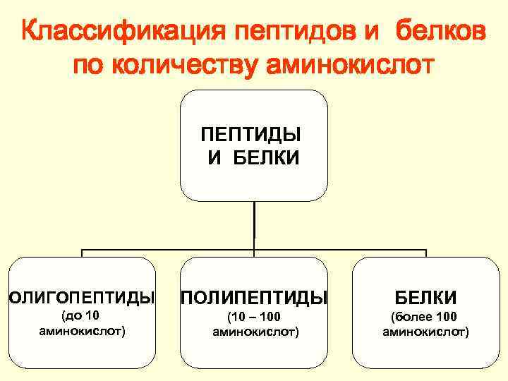 Классификация пептидов и белков по количеству аминокислот ПЕПТИДЫ И БЕЛКИ ОЛИГОПЕПТИДЫ ПОЛИПЕПТИДЫ БЕЛКИ (до
