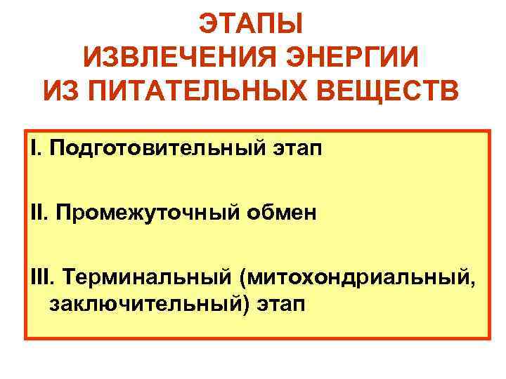 ЭТАПЫ ИЗВЛЕЧЕНИЯ ЭНЕРГИИ ИЗ ПИТАТЕЛЬНЫХ ВЕЩЕСТВ I. Подготовительный этап II. Промежуточный обмен III. Терминальный