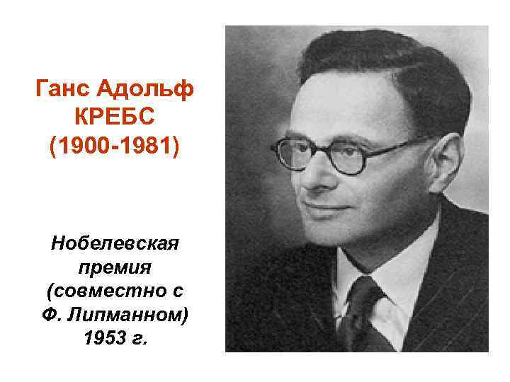 Ганс Адольф КРЕБС (1900 -1981) Нобелевская премия (совместно с Ф. Липманном) 1953 г. 