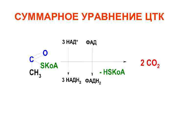 Суммарное уравнение