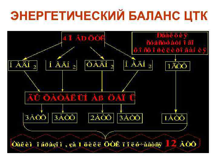 ЭНЕРГЕТИЧЕСКИЙ БАЛАНС ЦТК 