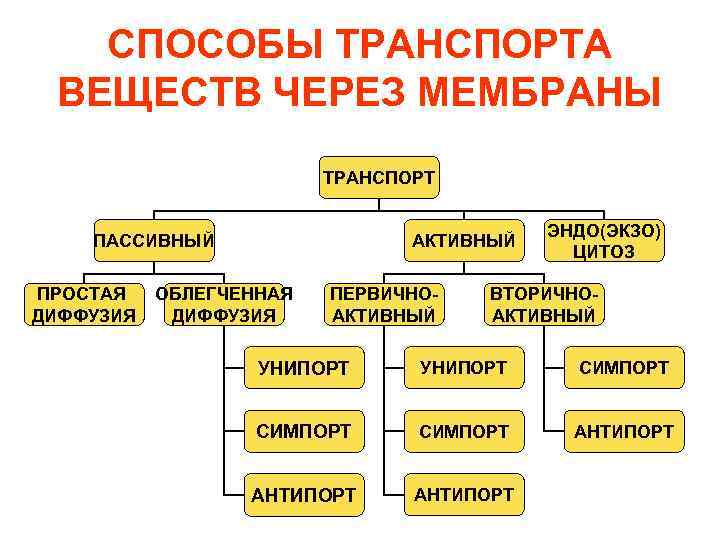 Способы транспорта