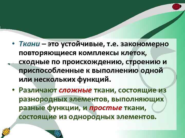  • Ткани – это устойчивые, т. е. закономерно повторяющиеся комплексы клеток, сходные по