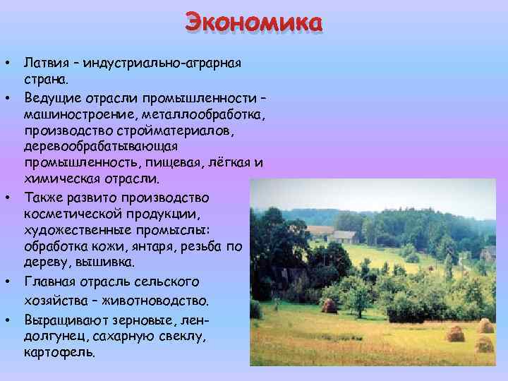 Экономика • • • Латвия – индустриально-аграрная страна. Ведущие отрасли промышленности – машиностроение, металлообработка,
