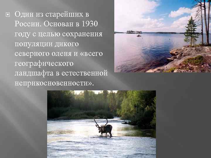  Один из старейших в России. Основан в 1930 году с целью сохранения популяции