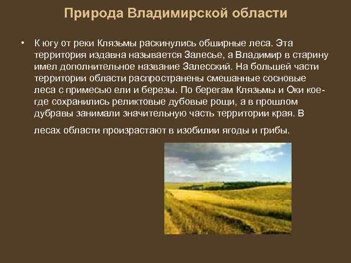 Экономика владимирской области 3 класс окружающий мир проект