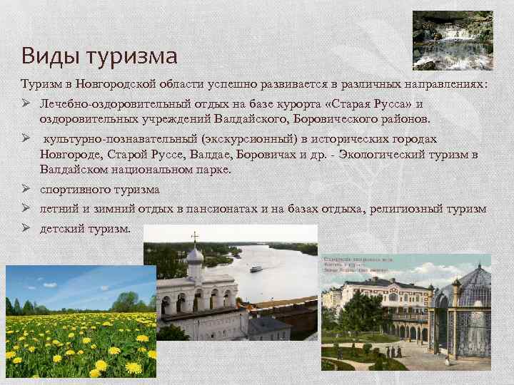 Виды туризма Туризм в Новгородской области успешно развивается в различных направлениях: Ø Лечебно-оздоровительный отдых