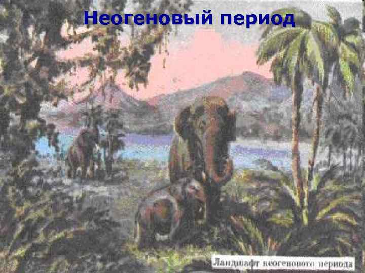 Неогеновый период 
