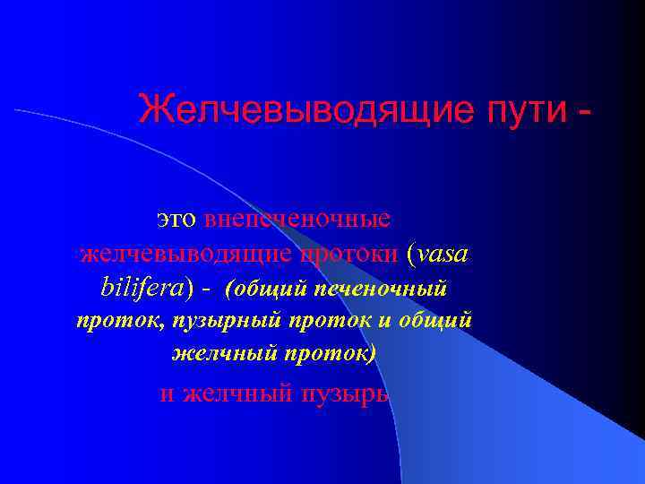 Желчевыводящие пути это внепеченочные желчевыводящие протоки (vasa bilifera) - (общий печеночный проток, пузырный проток