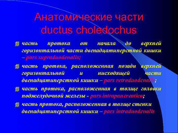 Анатомические части ductus choledochus часть протока от начала до верхней горизонтальной части двенадцатиперстной кишки