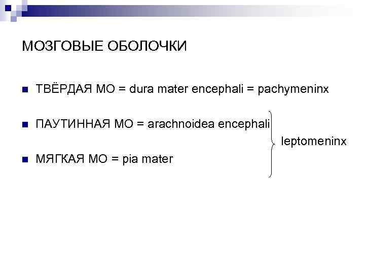 МОЗГОВЫЕ ОБОЛОЧКИ n ТВЁРДАЯ МО = dura mater encephali = pachymeninx n ПАУТИННАЯ МО