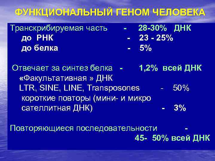 ФУНКЦИОНАЛЬНЫЙ ГЕНОМ ЧЕЛОВЕКА Транскрибируемая часть до РНК до белка - 28 -30% ДНК -