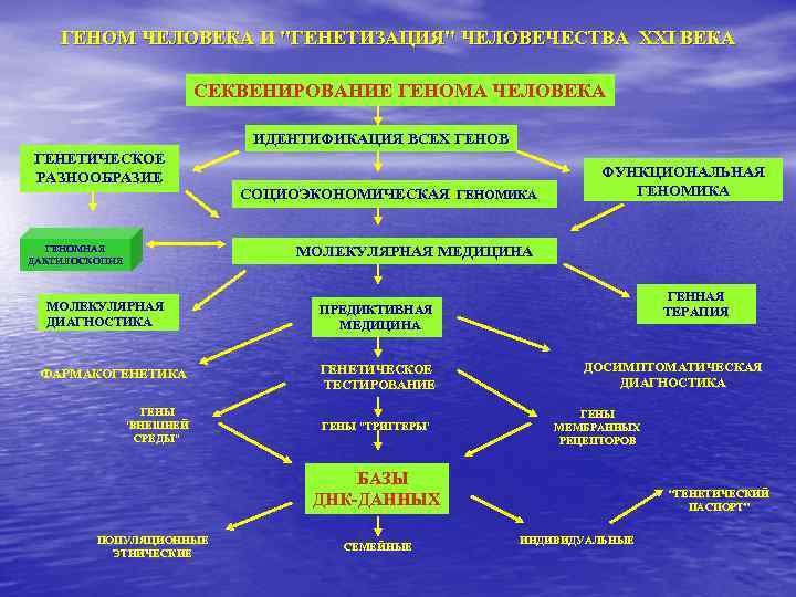 ГЕНОМ ЧЕЛОВЕКА И "ГЕНЕТИЗАЦИЯ" ЧЕЛОВЕЧЕСТВА XXI ВЕКА СЕКВЕНИРОВАНИЕ ГЕНОМА ЧЕЛОВЕКА ИДЕНТИФИКАЦИЯ ВСЕХ ГЕНОВ ГЕНЕТИЧЕСКОЕ