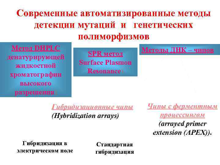 Современные автоматизированные методы детекции мутаций и генетических полиморфизмов Метод DHPLC денатурирующей жидкостной хроматографии высокого