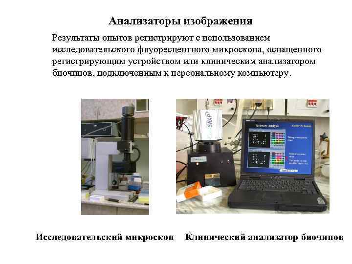 Анализаторы изображения Результаты опытов регистрируют с использованием исследовательского флуоресцентного микроскопа, оснащенного регистрирующим устройством или