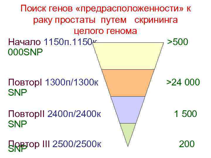 Поиск генов «предрасположенности» к раку простаты путем скрининга целого генома Начало 1150 п. 1150