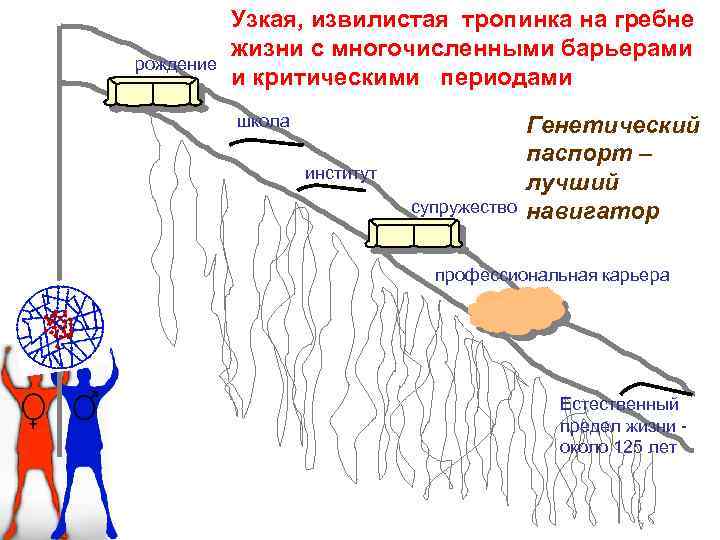 рождение Узкая, извилистая тропинка на гребне жизни с многочисленными барьерами и критическими периодами школа