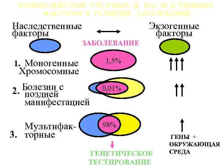 ВЗАИМОДЕЙСТВИЕ СРЕДОВЫХ И НАСЛЕДСТВЕННЫХ ФАКТОРОВ В РАЗВИТИИ ЗАБОЛЕВАНИЙ Наследственные факторы Экзогенные факторы ЗАБОЛЕВАНИЕ 1,