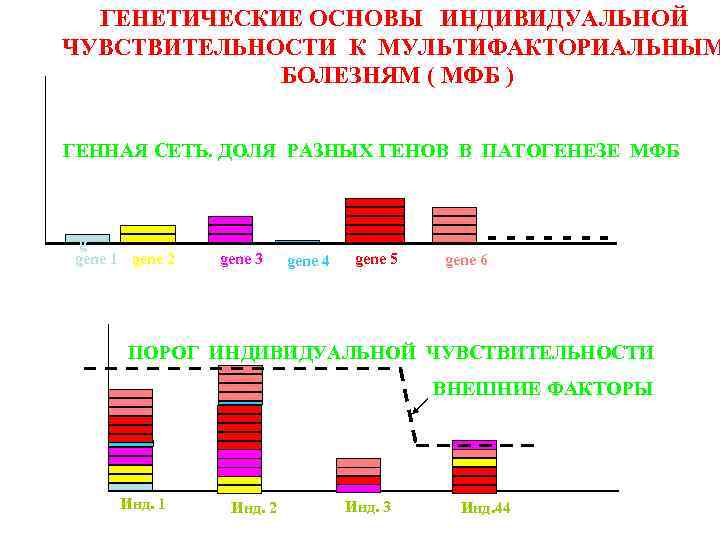 ГЕНЕТИЧЕСКИЕ ОСНОВЫ ИНДИВИДУАЛЬНОЙ ЧУВСТВИТЕЛЬНОСТИ К МУЛЬТИФАКТОРИАЛЬНЫМ БОЛЕЗНЯМ ( МФБ ) ГЕННАЯ СЕТЬ. ДОЛЯ РАЗНЫХ