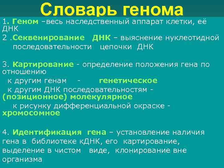 Словарь генома её 1. Геном –весь наследственный аппарат клетки, ДНК 2. Секвенирование ДНК –