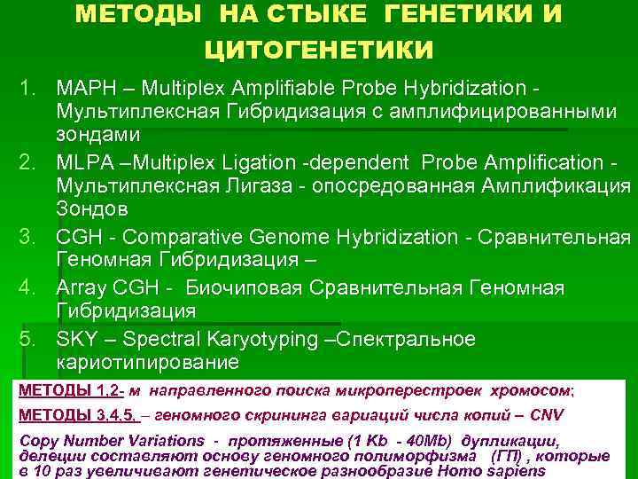 МЕТОДЫ НА СТЫКЕ ГЕНЕТИКИ И ЦИТОГЕНЕТИКИ 1. MAPH – Multiplex Amplifiable Probe Hybridization Мультиплексная