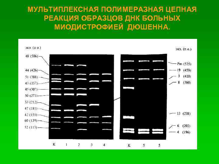 Конверт для образцов днк