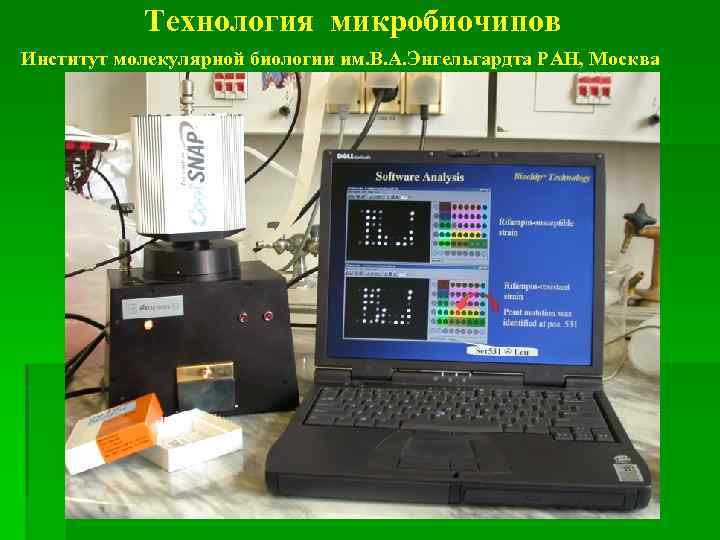 Технология микробиочипов Институт молекулярной биологии им. В. А. Энгельгардта РАН, Москва 