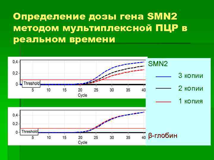 Определение дозы гена SMN 2 методом мультиплексной ПЦР в реальном времени SMN 2 3