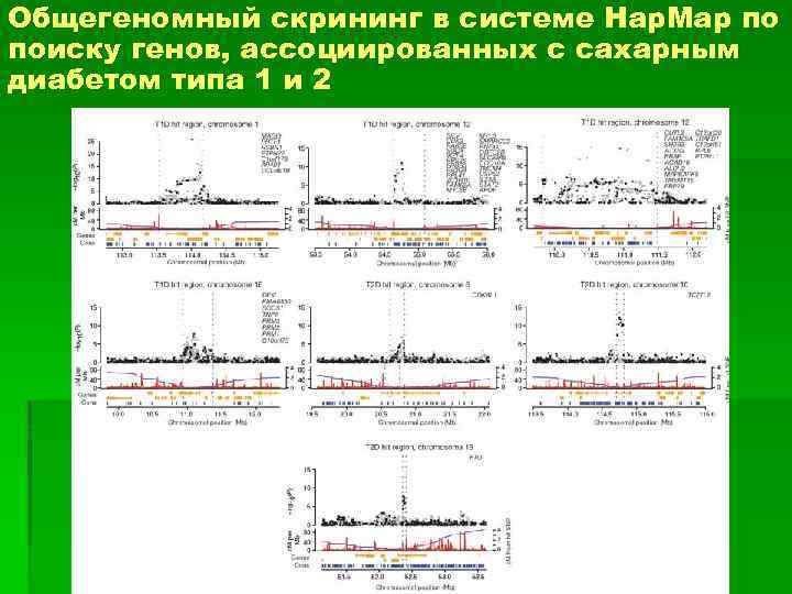 Общегеномный скрининг в системе Hap. Map по поиску генов, ассоциированных с сахарным диабетом типа