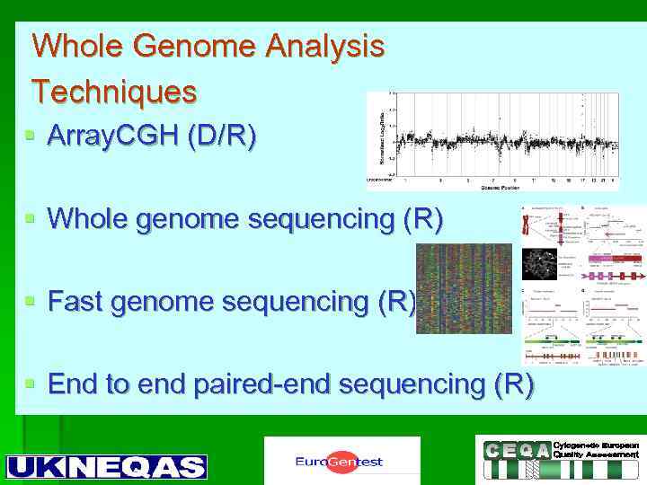 Whole Genome Analysis Techniques § Array. CGH (D/R) § Whole genome sequencing (R) §