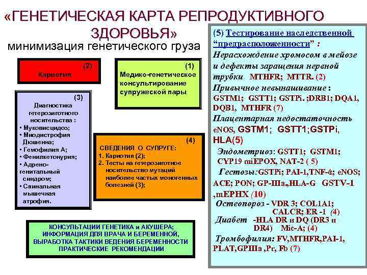  «ГЕНЕТИЧЕСКАЯ КАРТА РЕПРОДУКТИВНОГО (5) Тестирование наследственной ЗДОРОВЬЯ» минимизация генетического груза (2) Кариотип (3)