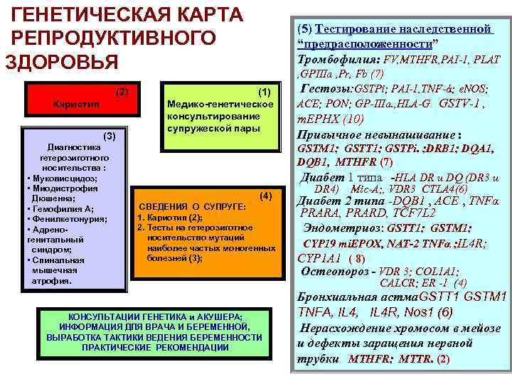 ГЕНЕТИЧЕСКАЯ КАРТА РЕПРОДУКТИВНОГО ЗДОРОВЬЯ (2) Кариотип (3) Диагностика гетерозиготного носительства : • Муковисцидоз; •