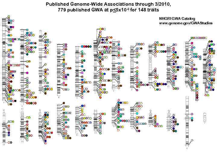 Published Genome-Wide Associations through 3/2010, 779 published GWA at p<5 x 10 -8 for