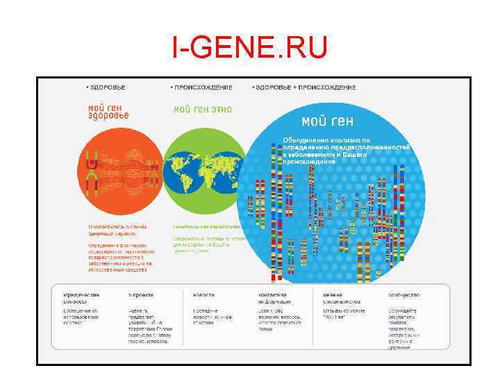 I-GENE. RU 