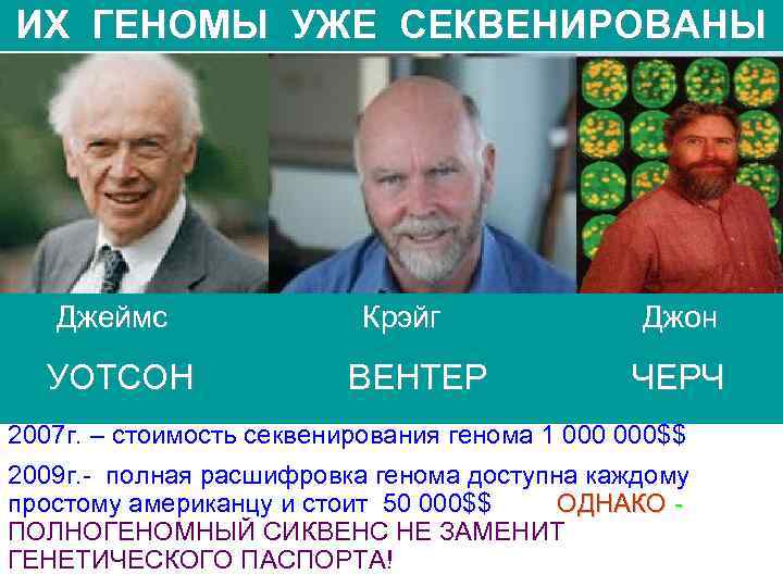 ИХ ГЕНОМЫ УЖЕ СЕКВЕНИРОВАНЫ Джеймс УОТСОН Крэйг ВЕНТЕР Джон ЧЕРЧ 2007 г. – стоимость