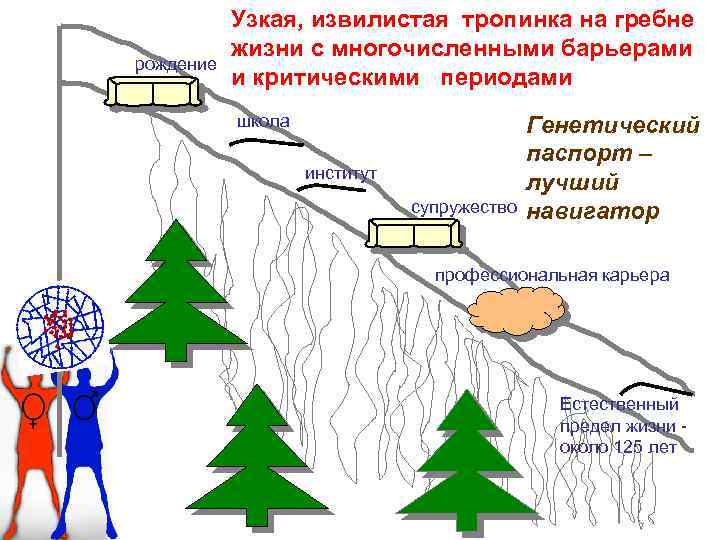рождение Узкая, извилистая тропинка на гребне жизни с многочисленными барьерами и критическими периодами школа