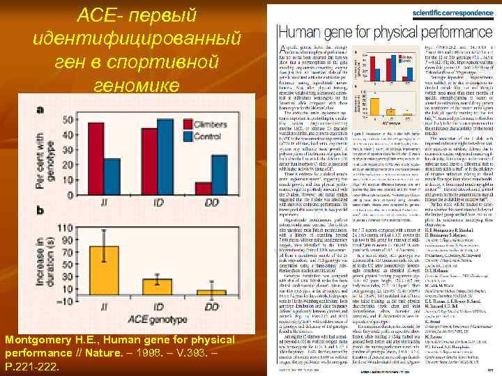 АСЕ- первый идентифицированный ген в спортивной геномике Montgomery H. E. , Human gene for