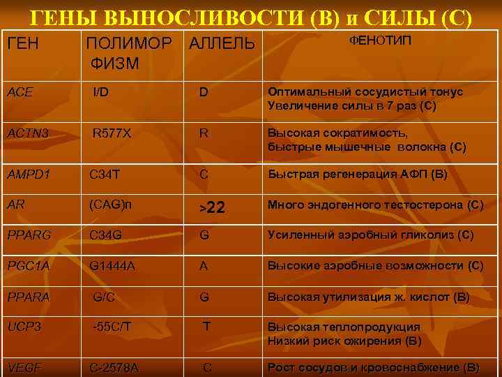 ГЕНЫ ВЫНОСЛИВОСТИ (В) и СИЛЫ (С) ГЕН ПОЛИМОР АЛЛЕЛЬ ФИЗМ ФЕНОТИП АСЕ I/D D