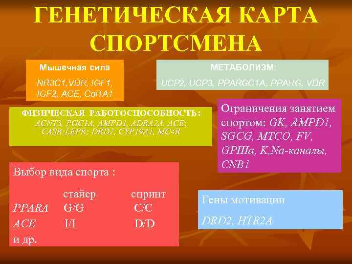 ГЕНЕТИЧЕСКАЯ КАРТА СПОРТСМЕНА Мышечная сила МЕТАБОЛИЗМ: NR 3 C 1, VDR, IGF 1, IGF