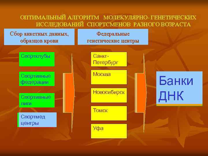 ОПТИМАЛЬНЫЙ АЛГОРИТМ МОЛЕКУЛЯРНО- ГЕНЕТИЧЕСКИХ ИССЛЕДОВАНИЙ СПОРТСМЕНОВ РАЗНОГО ВОЗРАСТА Сбор анкетных данных, образцов крови Федеральные