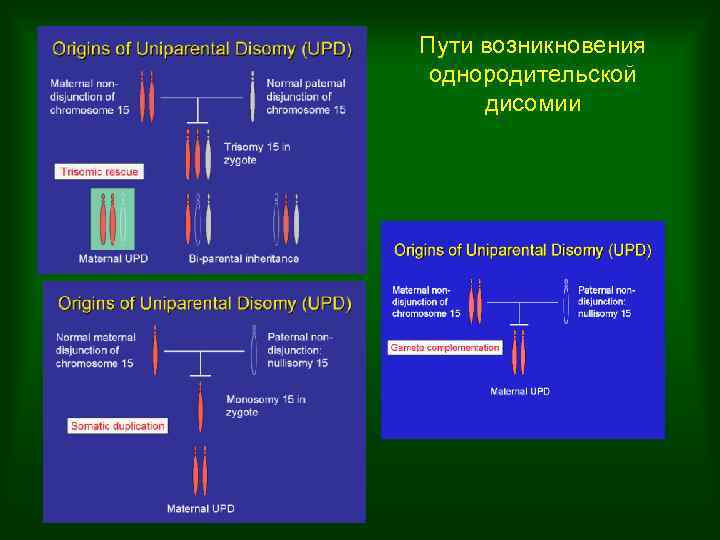 Пути возникновения однородительской дисомии 