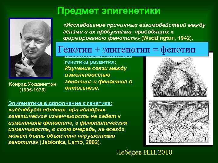 Понятие эпигенетика понятие биоинформатика презентация