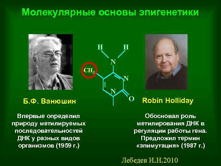 Презентация по эпигенетике