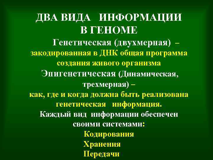 ДВА ВИДА ИНФОРМАЦИИ В ГЕНОМЕ Генетическая (двухмерная) – закодированная в ДНК общая программа создания