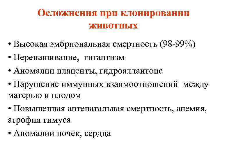 Осложнения при клонировании животных • Высокая эмбриональная смертность (98 -99%) • Перенашивание, гигантизм •