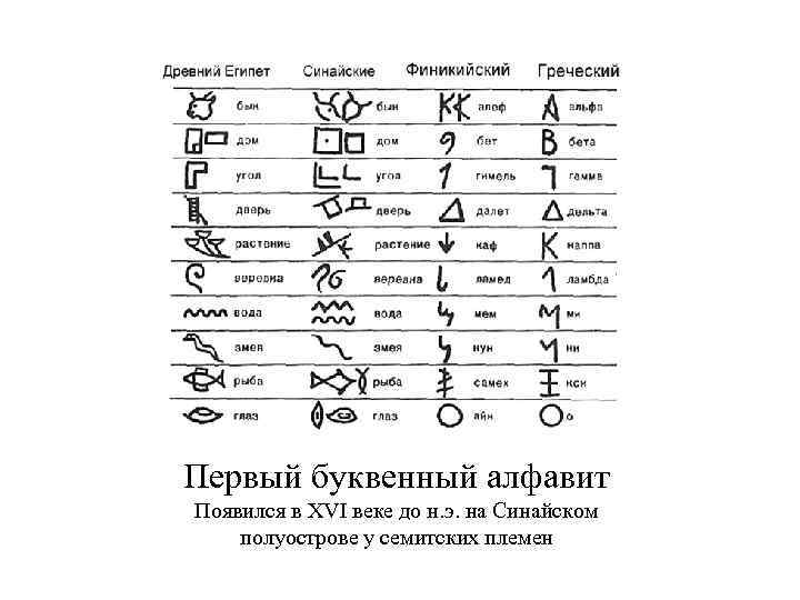 Первый буквенный алфавит Появился в XVI веке до н. э. на Синайском полуострове у