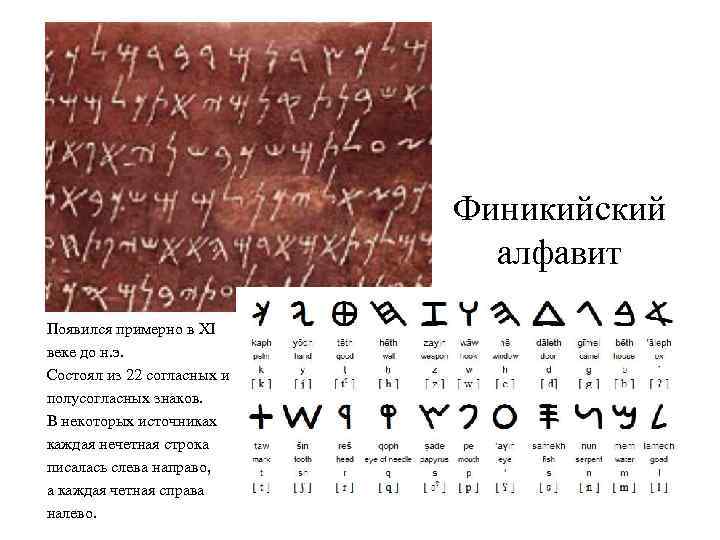 Финикийский алфавит Появился примерно в XI веке до н. э. Состоял из 22 согласных